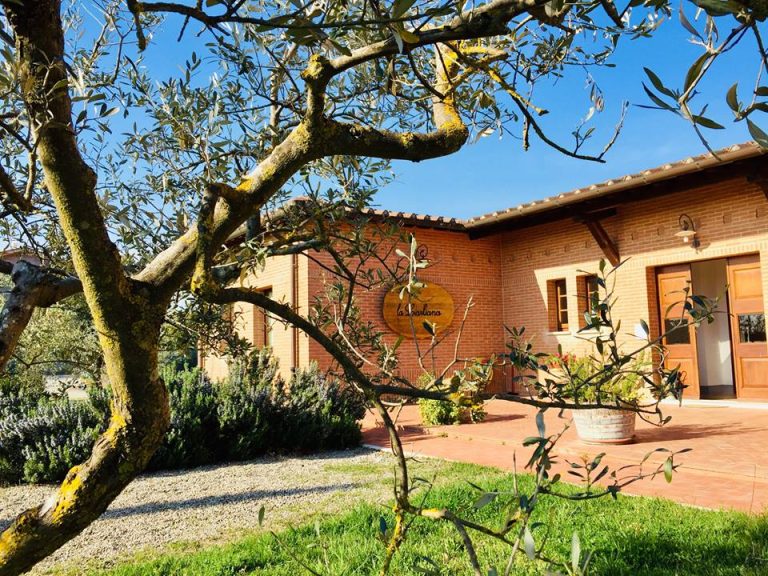 Winery La Ciarliana: ingresso