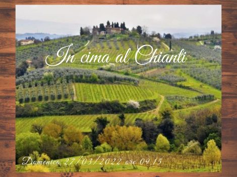 In Cima al Chianti: escursione da Lamole verso la cima più alta del Chianti Monte San Michele